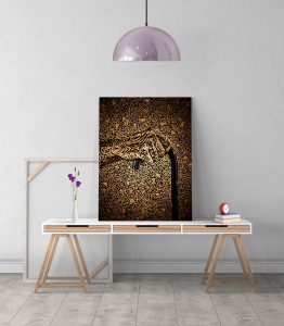 İhtiyarlık Harf Tablo