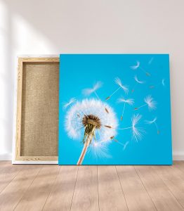 Karahindiba Kanvas Tablo - Görsel 3