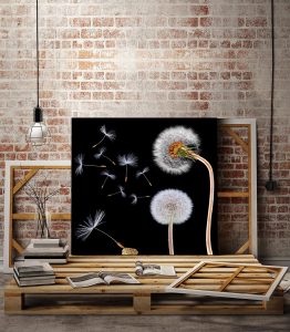 Karahindiba Kanvas Tablo