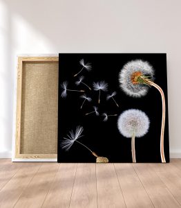 Karahindiba Kanvas Tablo - Görsel 3