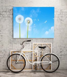 Karanhindiba Tablo - Görsel 3