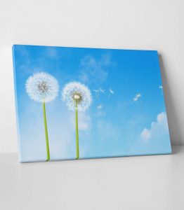 Karanhindiba Tablo - Görsel 2