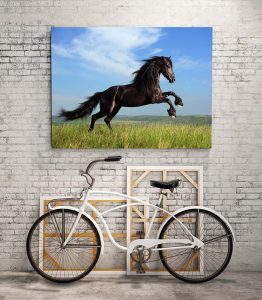 At Kanvas Tablo - Görsel 3