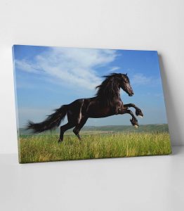 At Kanvas Tablo - Görsel 2