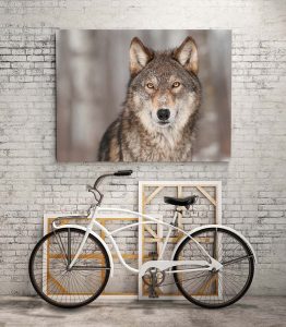 Kurt Kanvas Tablo - Görsel 3