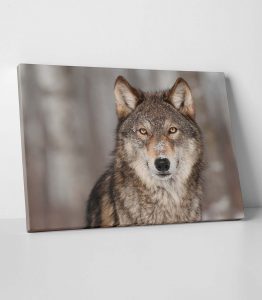 Kurt Kanvas Tablo - Görsel 2