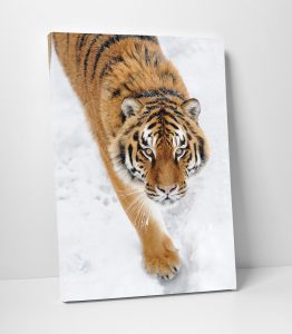 Kaplan Kanvas Tablo - Görsel 2