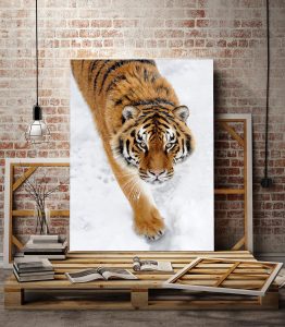 Kaplan Kanvas Tablo - Görsel 3