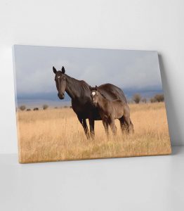 Kahverengi At Tablo - Görsel 2