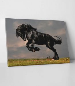 Siyah At Tablo - Görsel 2