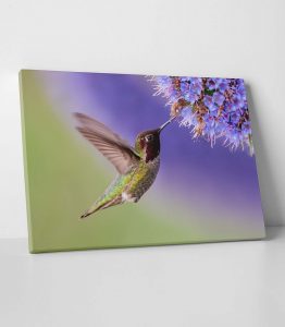 Sinek Kuşu Tablo - Görsel 2