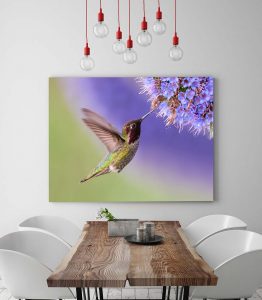 Sinek Kuşu Tablo - Görsel 3